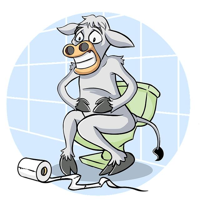 Risparmiare sulle spese veterinarie puntando sulla prevenzione e sulle mutue per animali