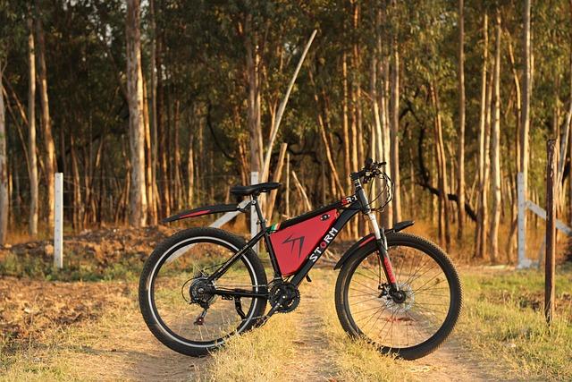 Micromobilità in abbonamento: quando conviene il noleggio a lungo termine di e-bike